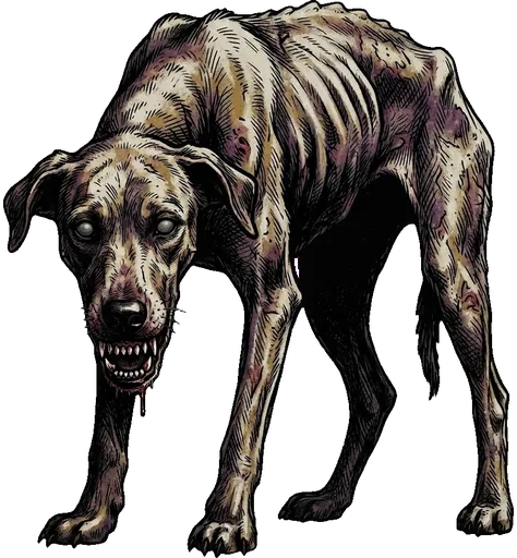 A starved hound, ribs showing